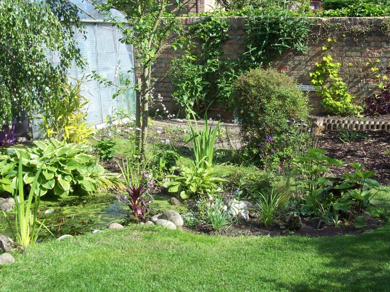 Ely Open Gardens